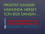 Prostat Kanseri Nedir, Prostat Kanseri Tedavisi,Prostat Kanseri Evreleri,