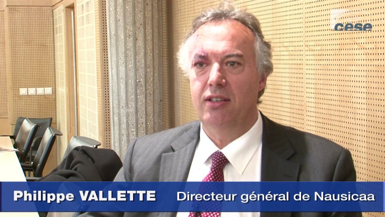 Interview de Philippe Vallette - cese