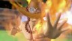 One Piece: Pirates Warriors 2 - Dynasty Warriors DLC