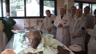 Visite du Laboratoire Vétérinaire Départemental à Sophia Antipolis