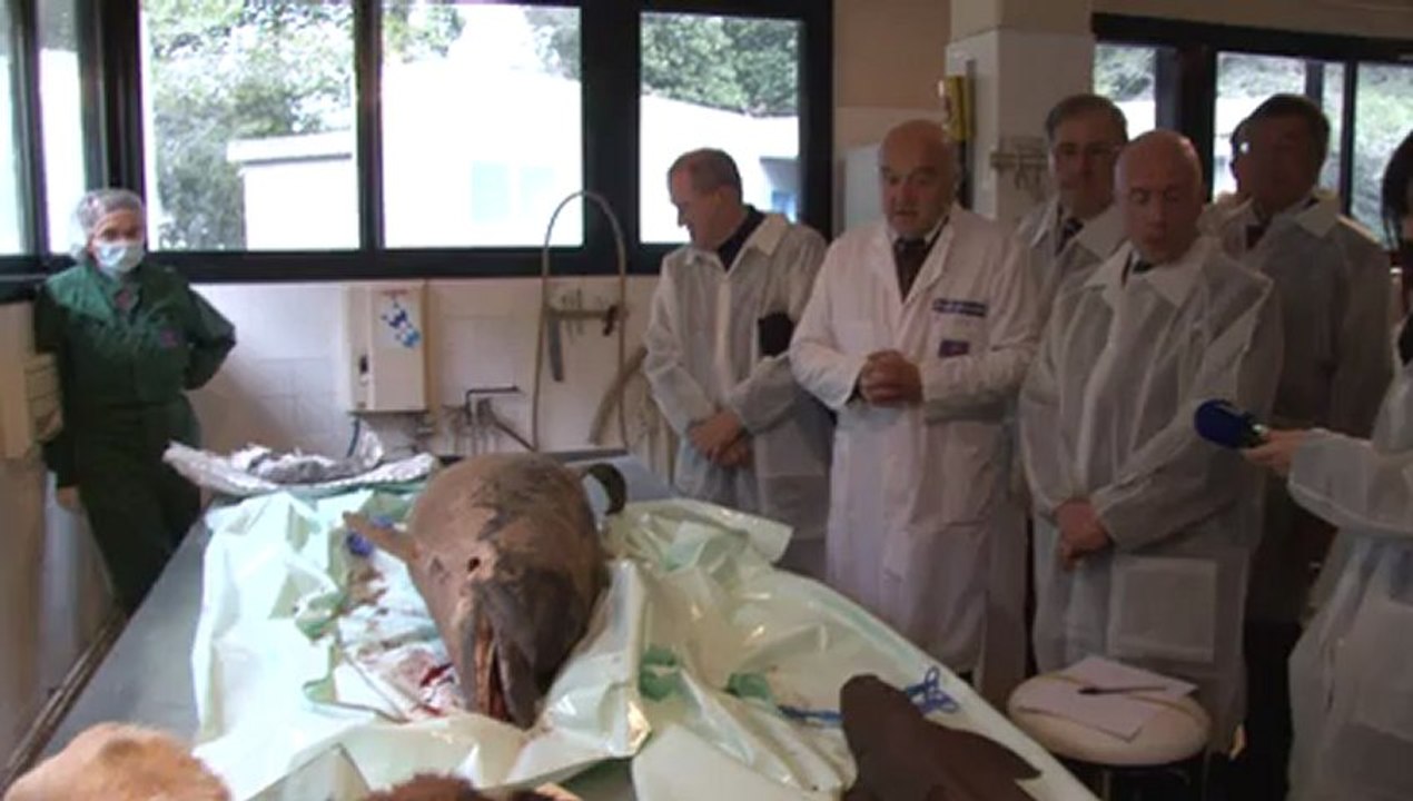 Visite du Laboratoire Vétérinaire Départemental à Sophia Antipolis