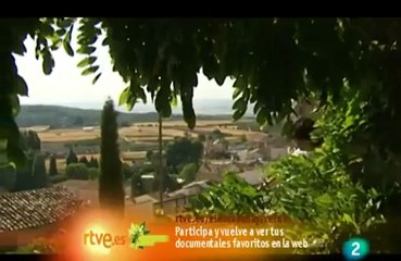 Un mundo sin abejas-TVE-'El Escarabajo Verde'