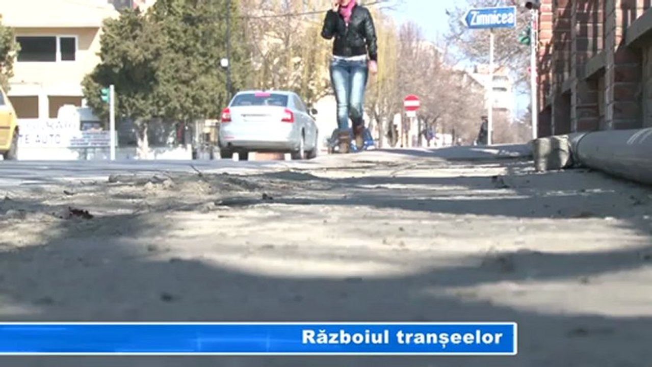 RAZBOIUL TRANSEELOR