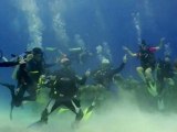 Raw: Scuba divers join Harlem Shake dance craze