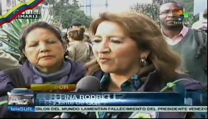 Homenaje a Chávez en embajada venezolana en Quito