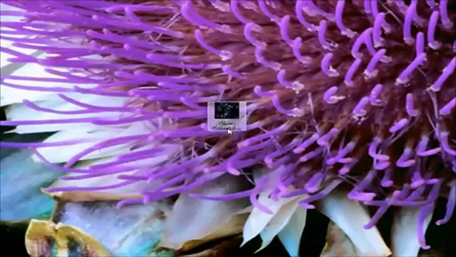 Aliens Colonial Marines Æ Keygen Crack + Torrent FREE DOWNLOAD