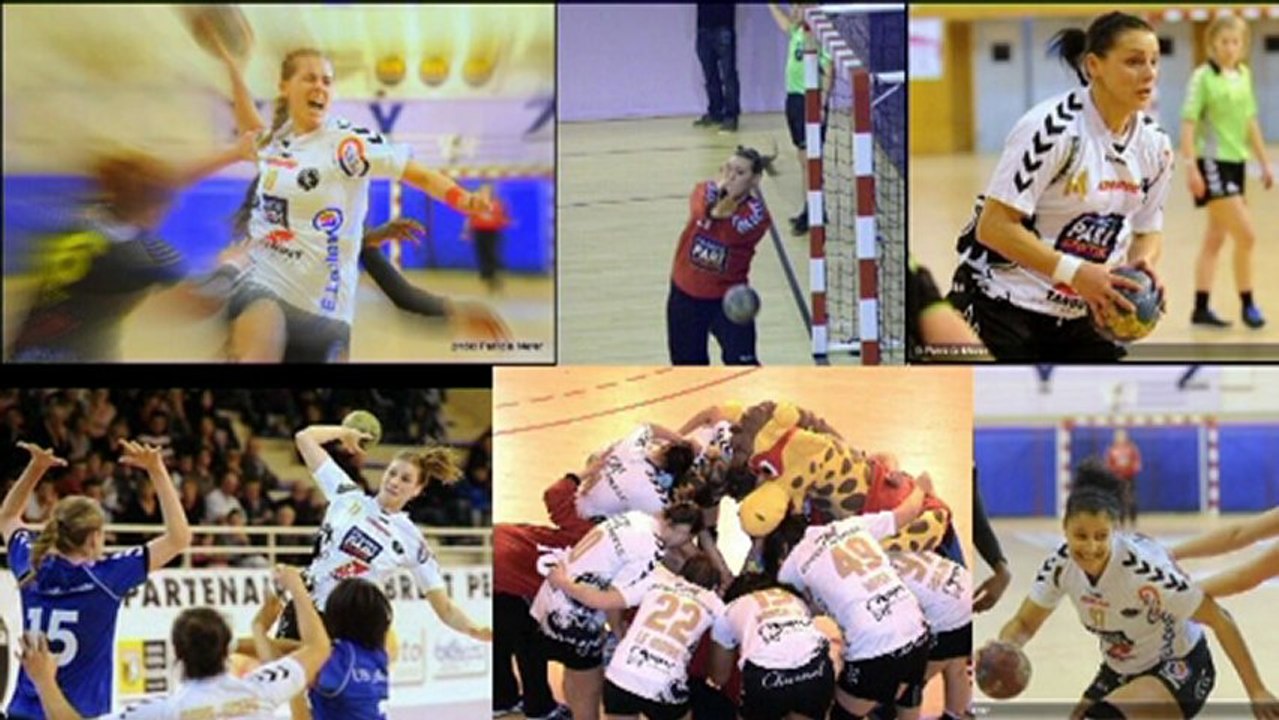 2013  03 09 HBC Brest Penn-Ar-Bed Vs Aunis La Rochelle