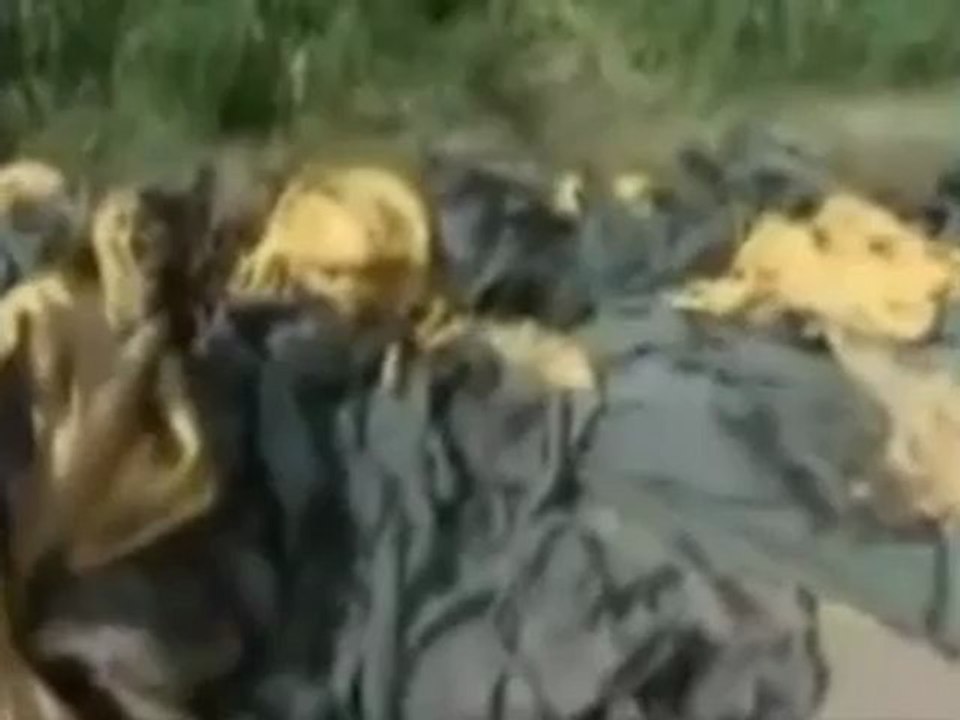balão cai egito