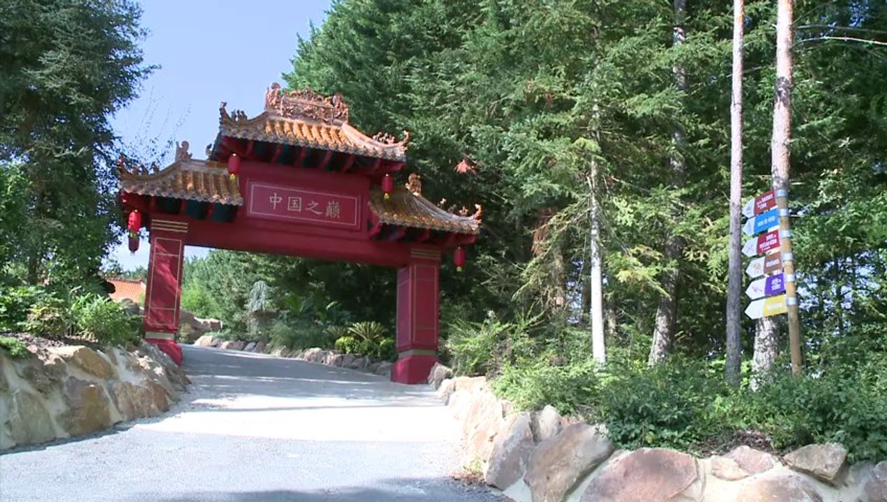 NOMADES TV  Les pandas arrivent!