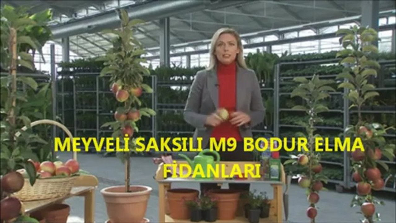 GENÇ ÇİFTÇİLERE BODUR ELMA BAHÇESİ KURULUR--BETÜL FİDANCILIK SAKSILI ELMA FİDANLARI 0532-224 73 30