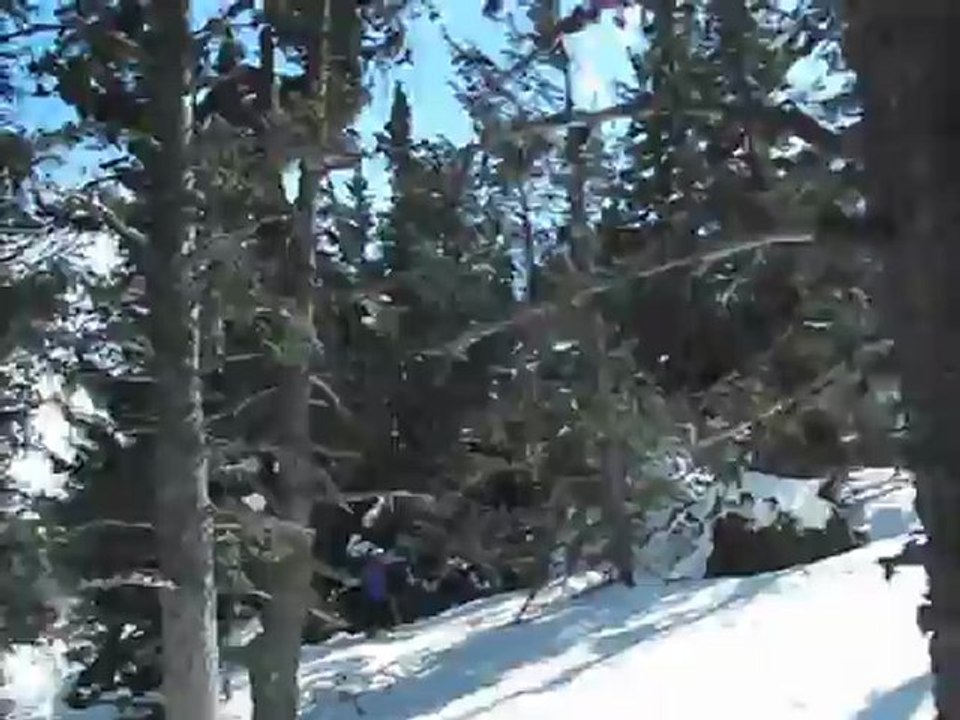 font romeu ski dans les sapins