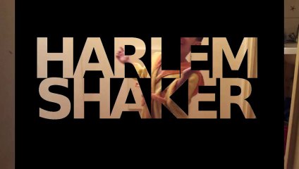 DO THE HARLEM SHAKE (original motoragazzo edition)