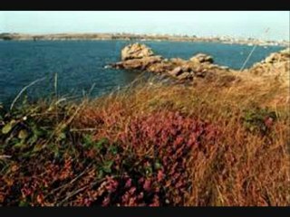 Michel Tonnerre - Fleur de Lampaul