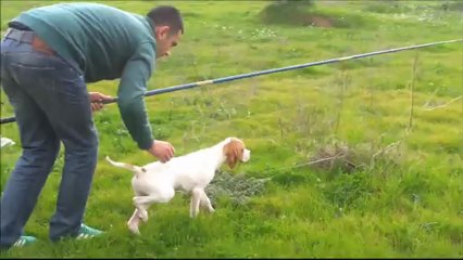 AYKANIN İLK FERMA GÖRSELLERİ