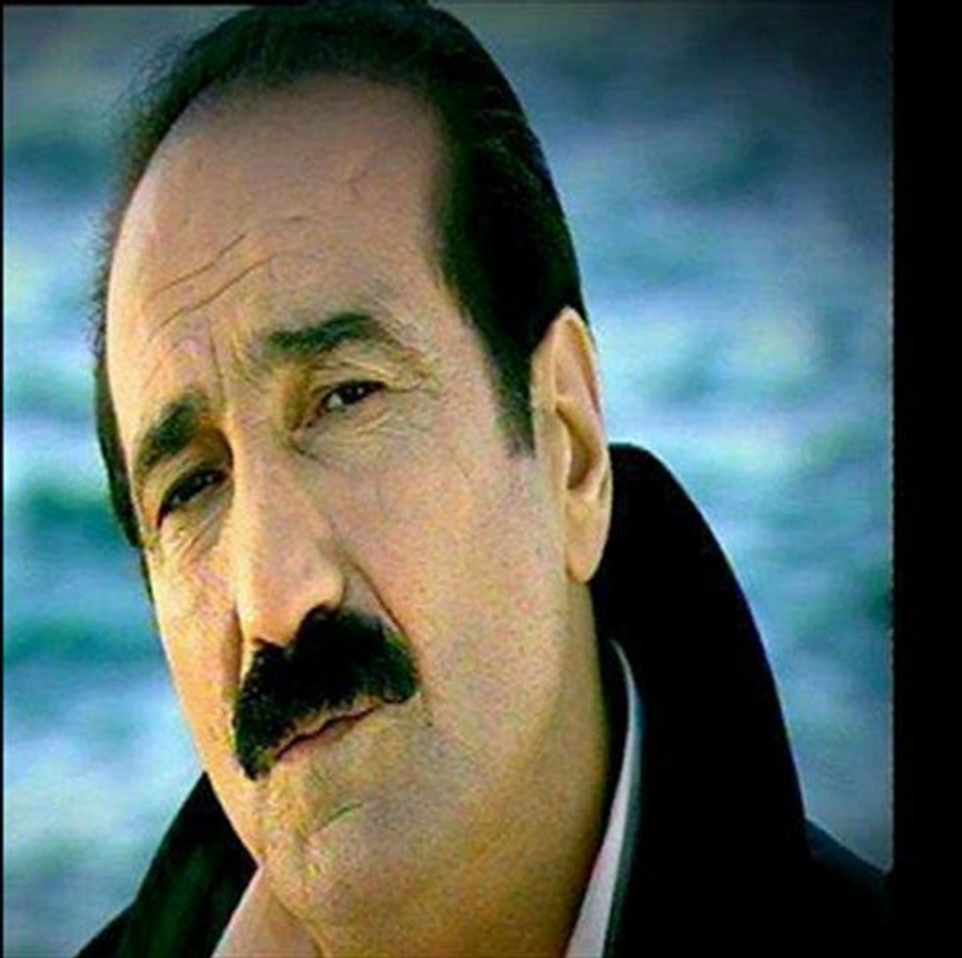 seyfi doğanay-yaban eller