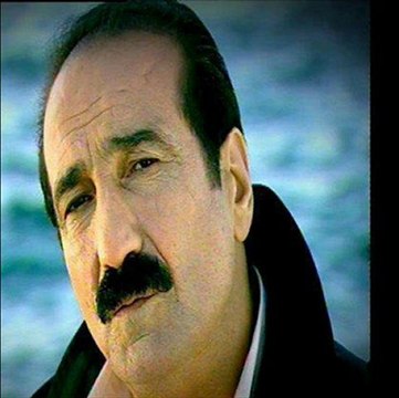 seyfi doğanay-yaban eller