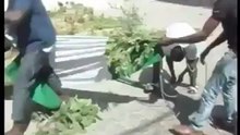 Raw Footage of Angry Nigerian Citizens Vandalizing Embassy In Senegal