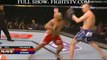 Mark Hunt vs Stefan Struve fight video FUEL 8