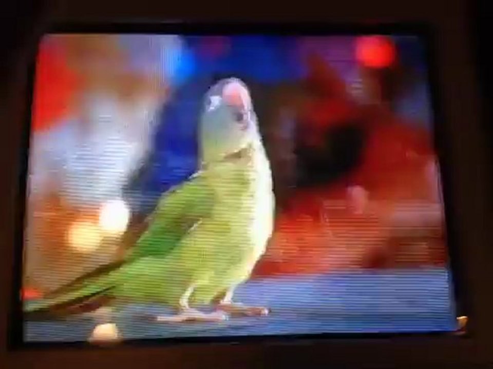 Quadriple VHS Opening Previews #1 (Part 1)