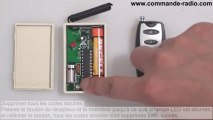 Mini Kit Émetteur Récepteur Vibrant Sans Fil 4 Modes de Vibration