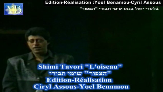 LES OISEAUX SHIMI TAVORI By Yoel Benamou שימי תבורי