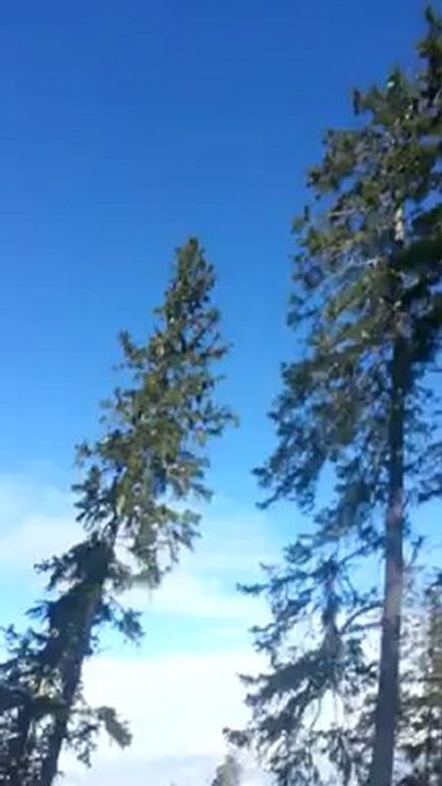 Snowboard 2013/02/20