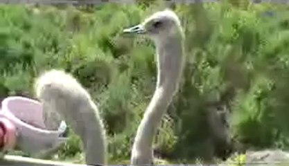 SỬA ĐIỀU HÒA tại XUÂN ĐỈNH HÀ NỘI""0973969617""