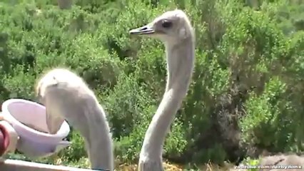 SỬA ĐIỀU HÒA tại ĐƯỜNG LÁNG HÀ NỘI""0973969617""