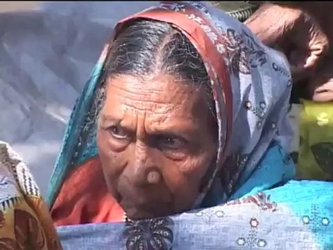 Thriveni Earthmovers Limited, Thriveni Earthmovers