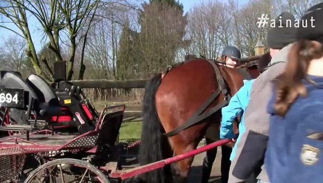 Itinéraires métiers (6/8)