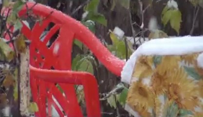 Первый снег