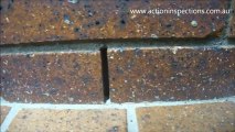 Inconspicuous Termite Entry - Building Inspections Brisbane