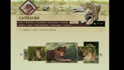 Woman dies after lion attack