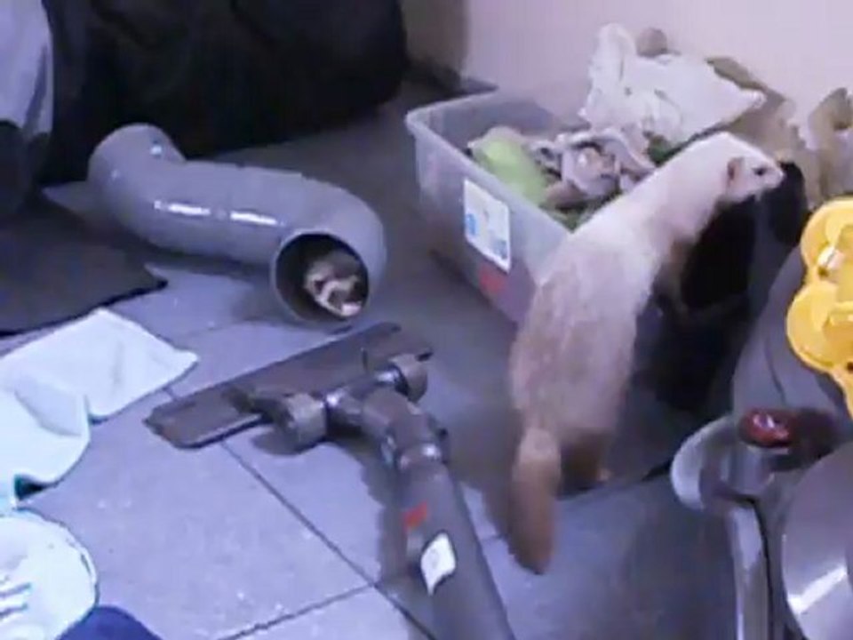 Paty et Izzy en mode jeu