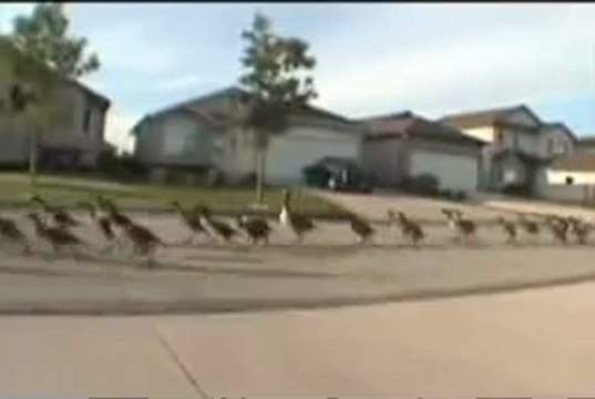 SỬA ĐIỀU HÒA tại NGUYỄN TRÃI HÀ NỘI 0973969617