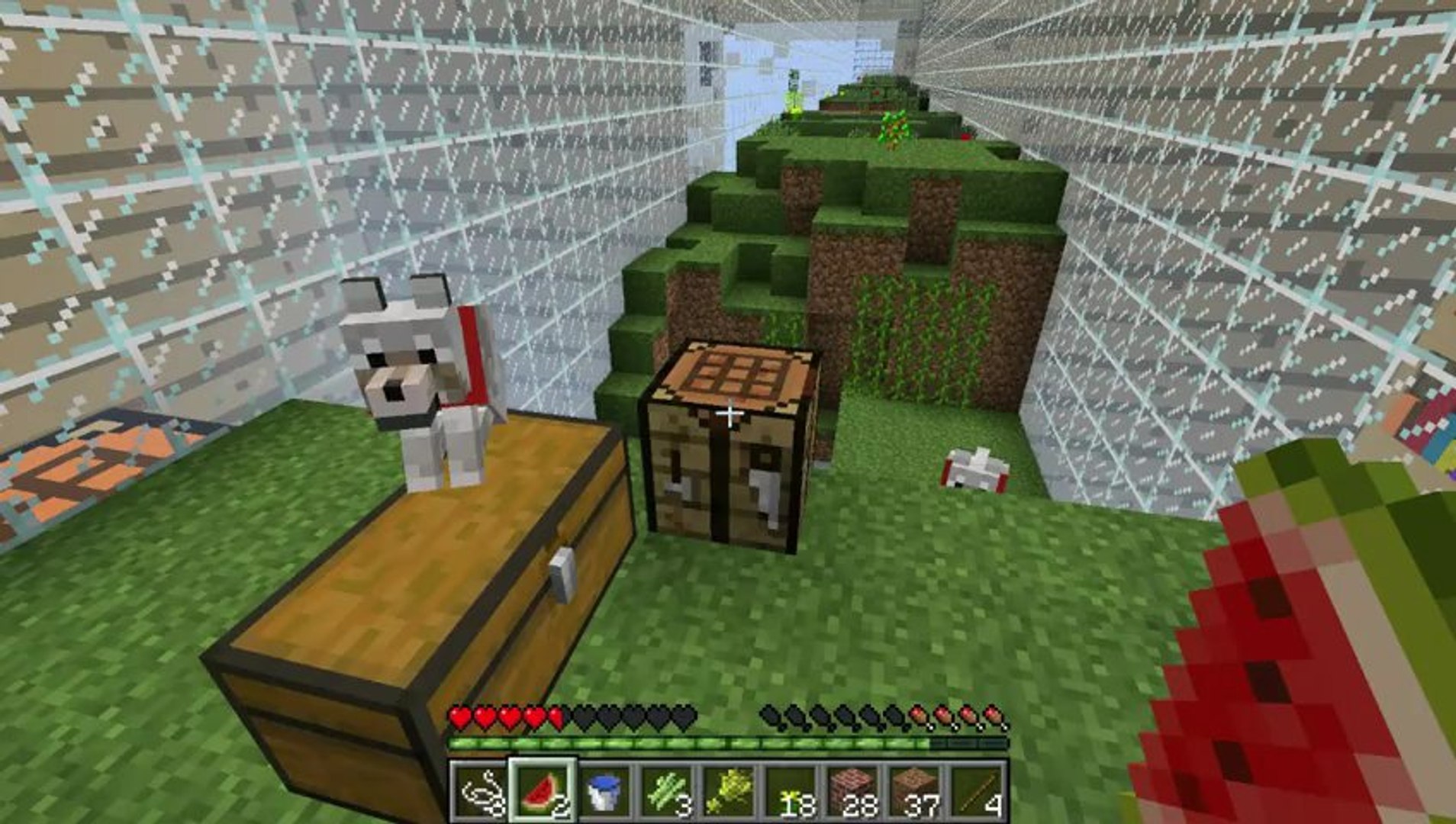 Minecraft - Ant Farm Survival! Episode 9