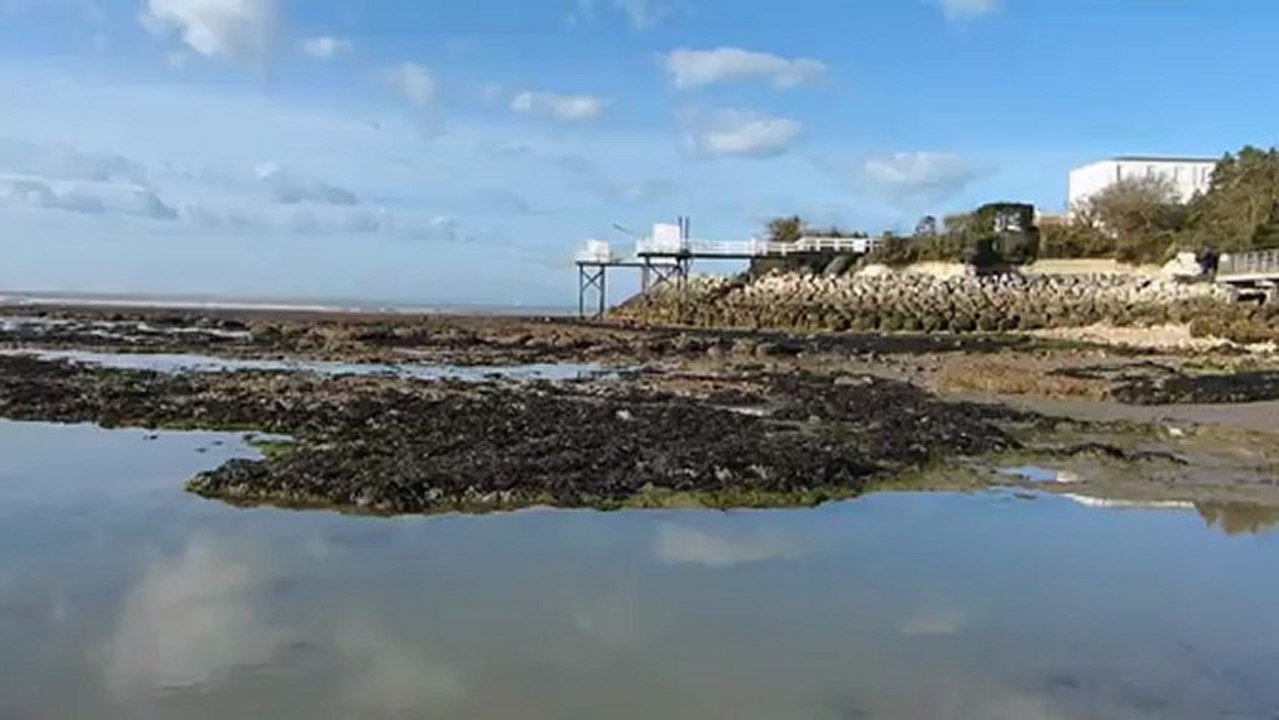 Banc de la Béchade à St-Georges-de-Didonne