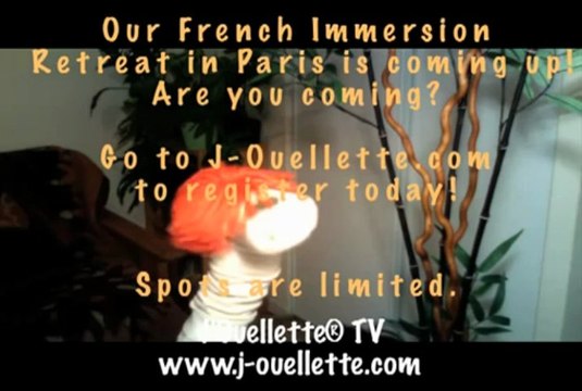 ‪J'Ouellette® TV - How sleek is your Einstein? - verb TRAVAILLER (to work) - Learn Parisian French on Skype ‬