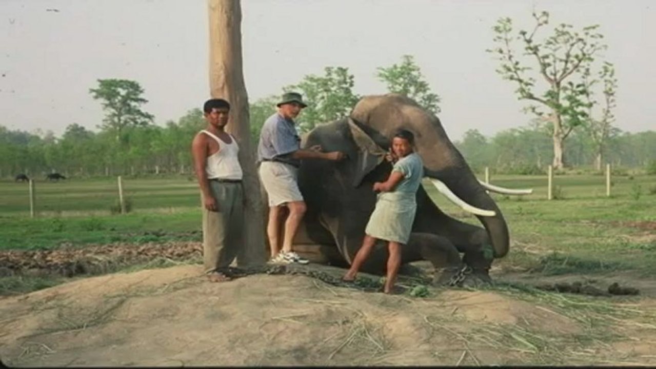 Portrait Jacques Flamand pour les Trophées des Français de l'étranger - lepetitjournal.com France 24