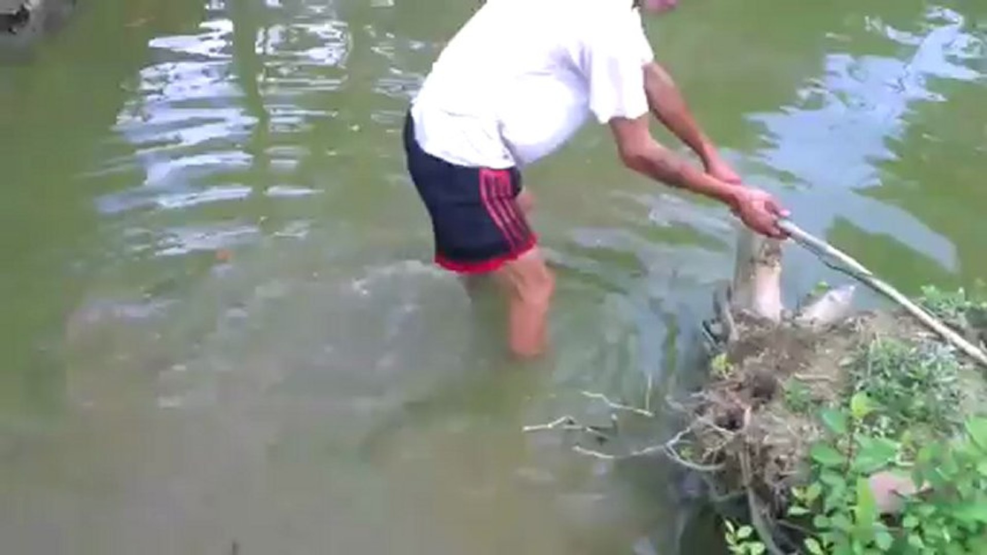 Canne à pêche électrique - Vidéo Dailymotion