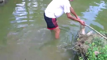 Canne à pêche électrique