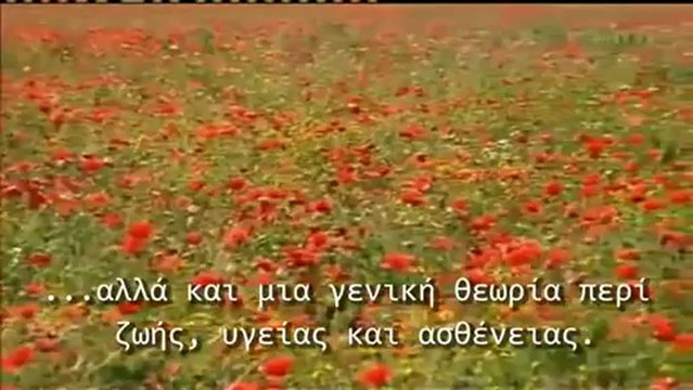 Το θαύμα των Ελλήνων. Ένα ντοκιμαντέρ που δείχνει γιατί όλοι μας χρωστάνε 3-3