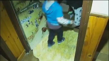 La situation se rétablit après les crues dans les Pyrénées-Orientales