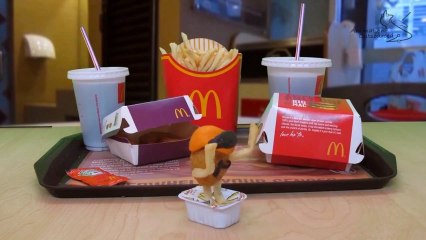 Video herunterladen: Harlem Shake Menu McDonalds