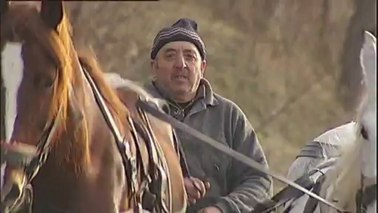 Viande de cheval : enquête sur un trafic d'animaux malades à destination de l'UE