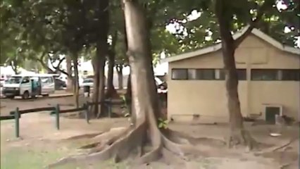 Pereybere (île Maurice) sur www.mauritiusisland.fr