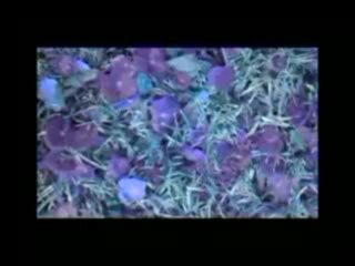 Something To Believe - Reality Is Candy