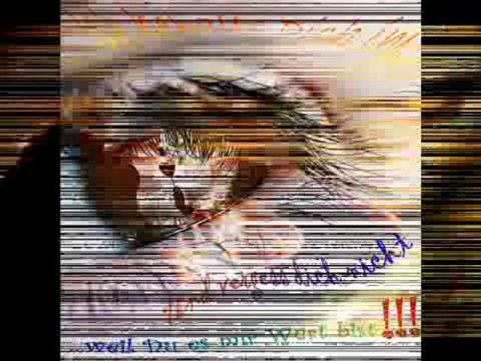 Nockalm Quintett - You forever