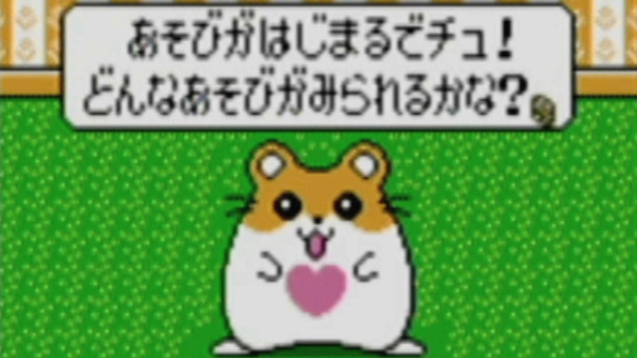 CGR Undertow - HAMSTER PARADISE 4 review for Game Boy Color