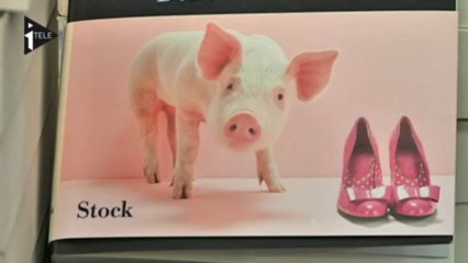 "Belle et Bête", succès de librairie